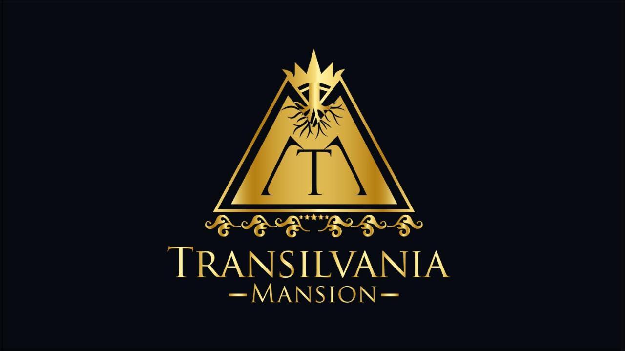 Transilvania Mansion Brassó Kültér fotó