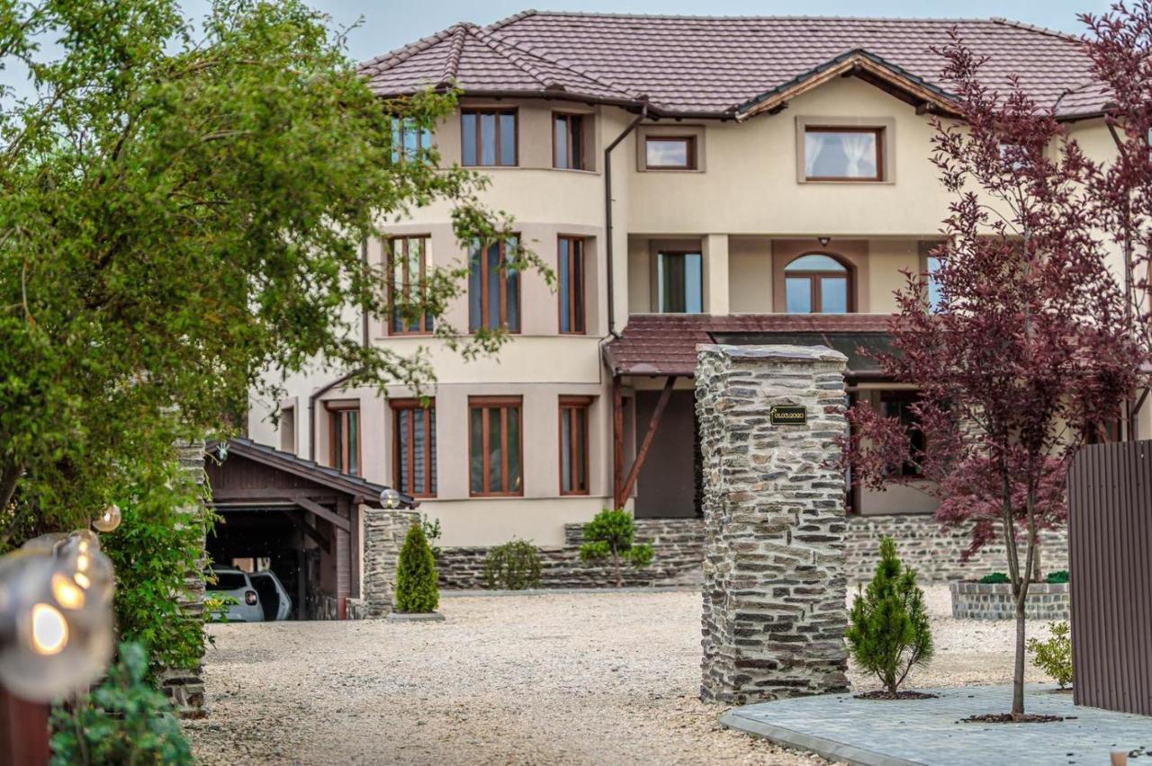 Transilvania Mansion Brassó Kültér fotó